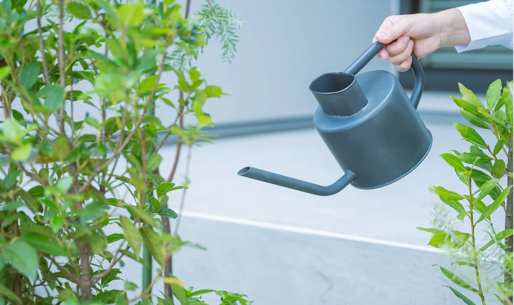 土地探しについて